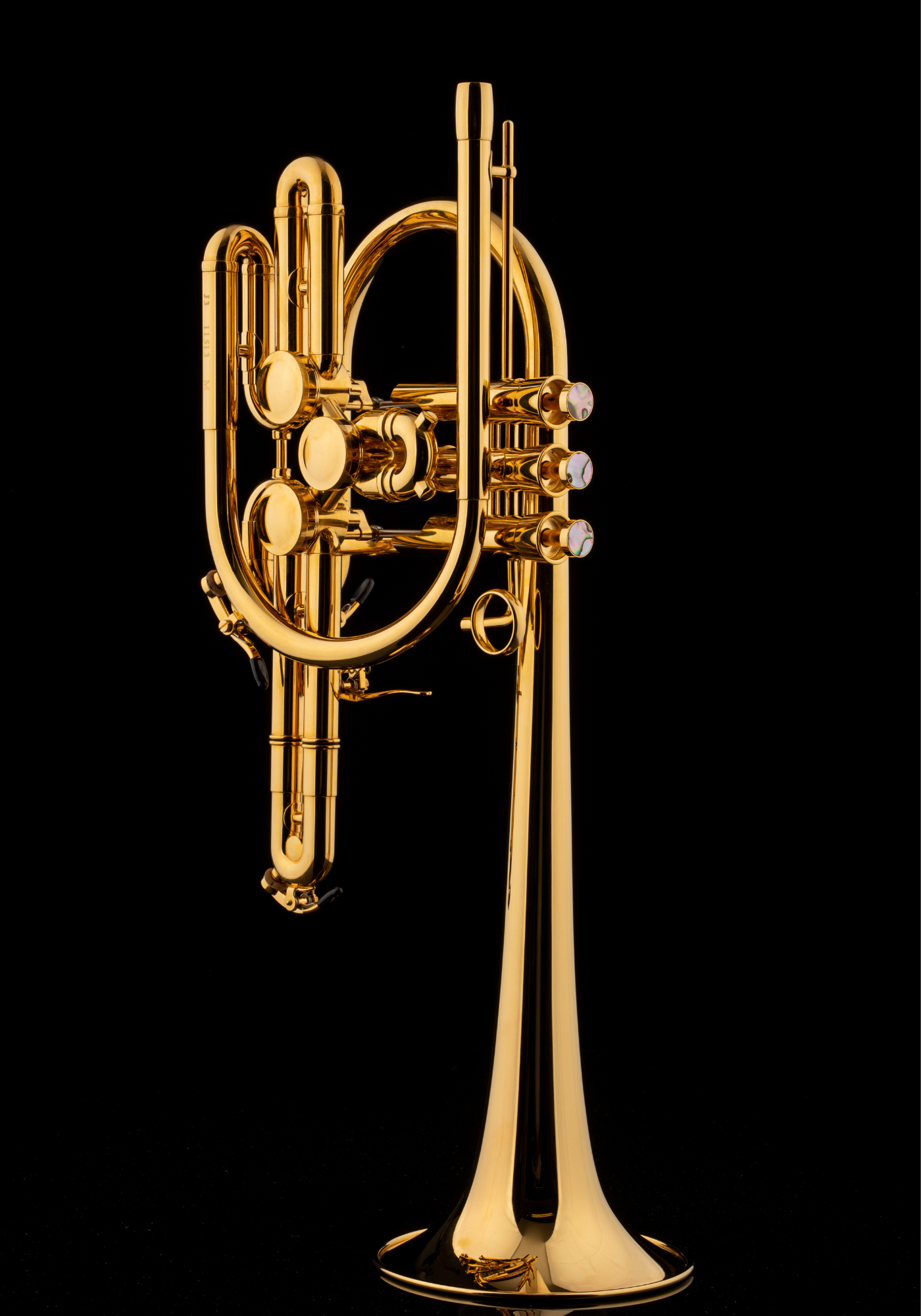 Schagerl Bb-Trumpet "RAWENI" gold plated 