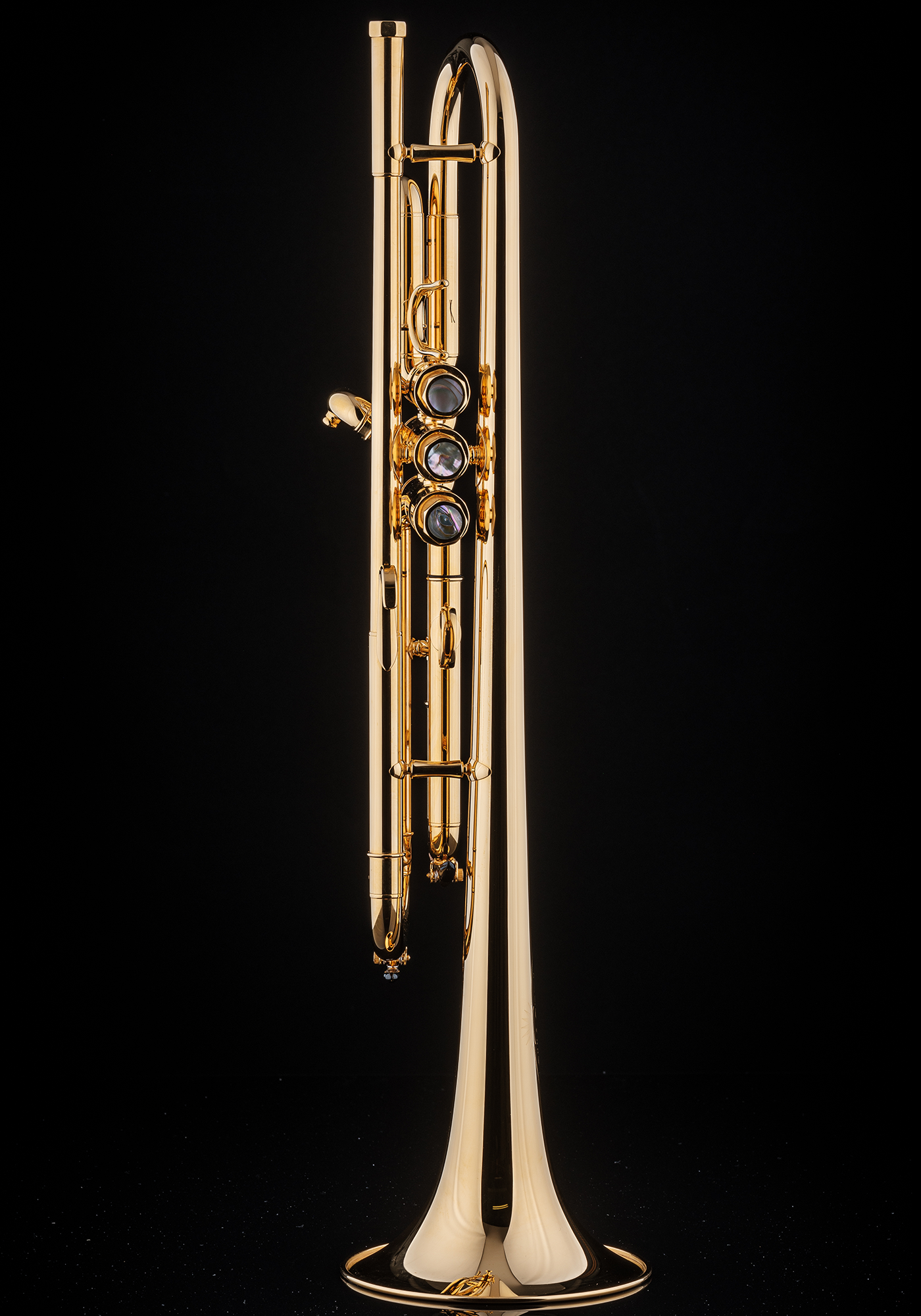 Schagerl B-Trumpet "JAMES MORRISON" gold plated