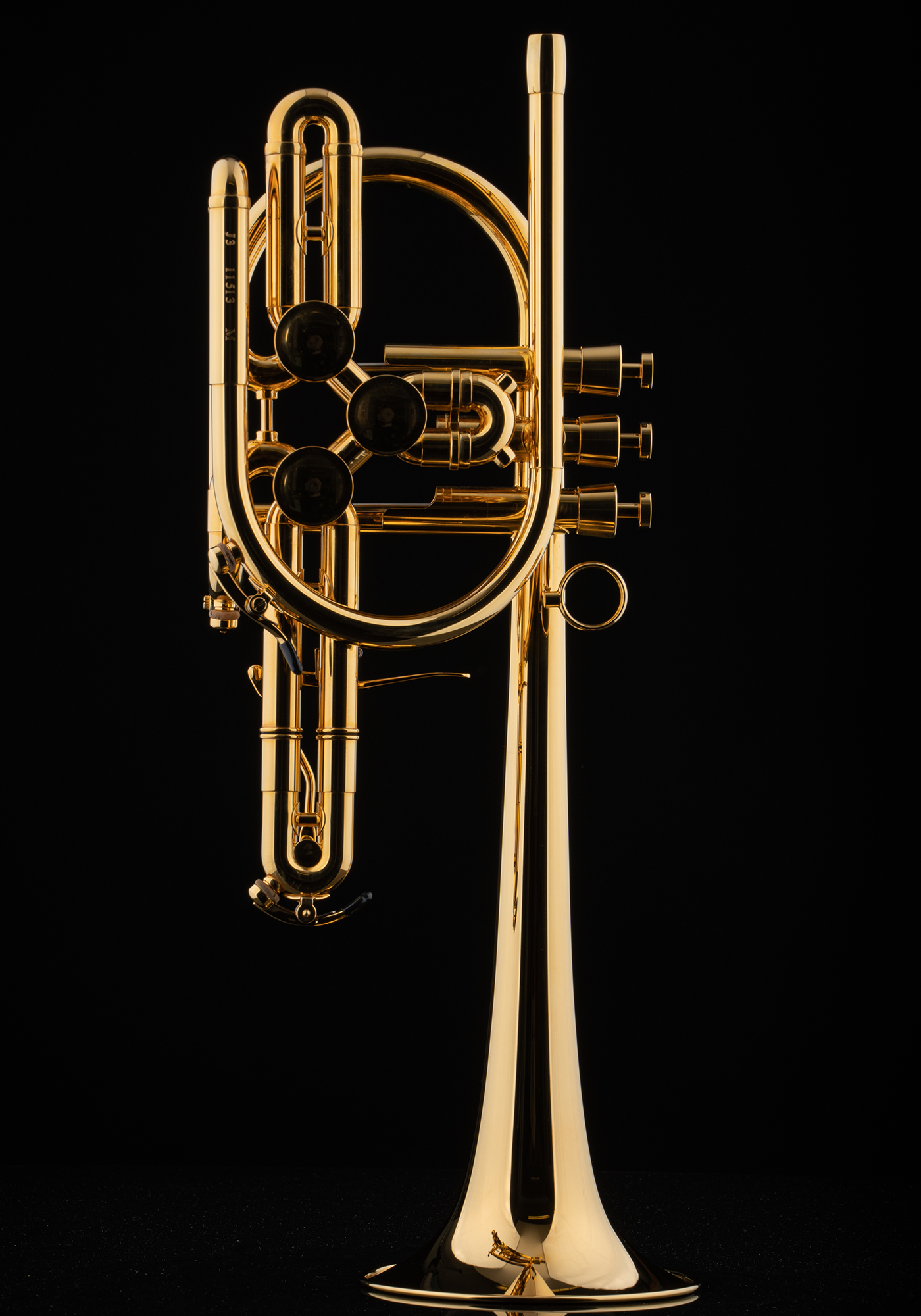 Schagerl Bb-Trumpet "RAWENI" gold plated 