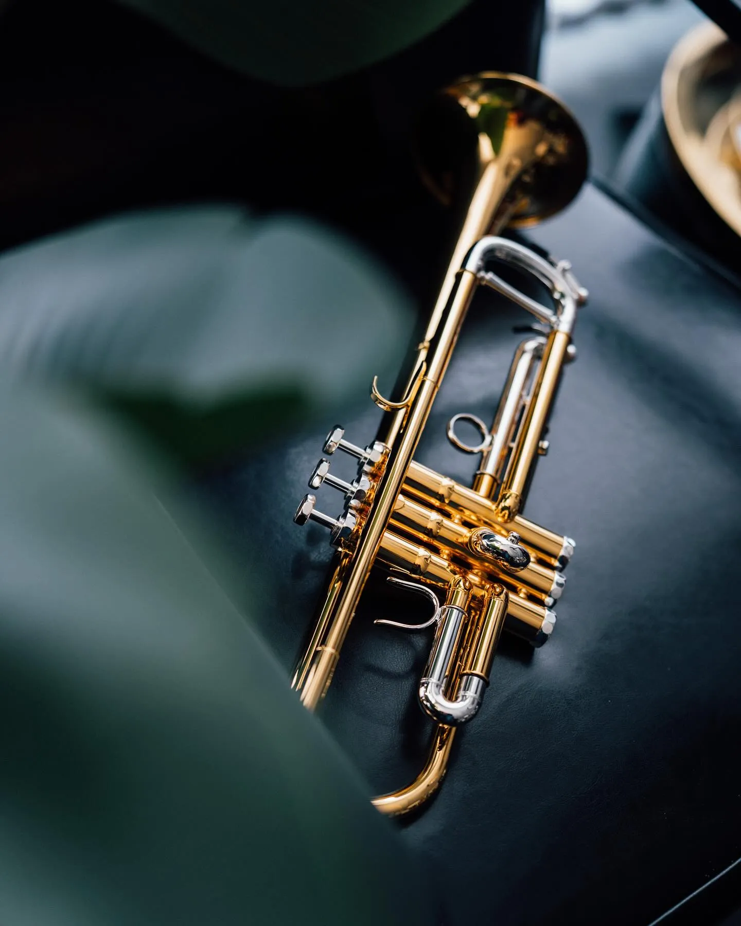 Some impressions from our workshop!

After an eventful weekend at our Schagerl Brass Academy, we’re fully back to focusing on what we do best – building world-class instruments with passion and precision. 😊🎺💪
#schagerltrumpet #schagerlartist #inqualitywetrust