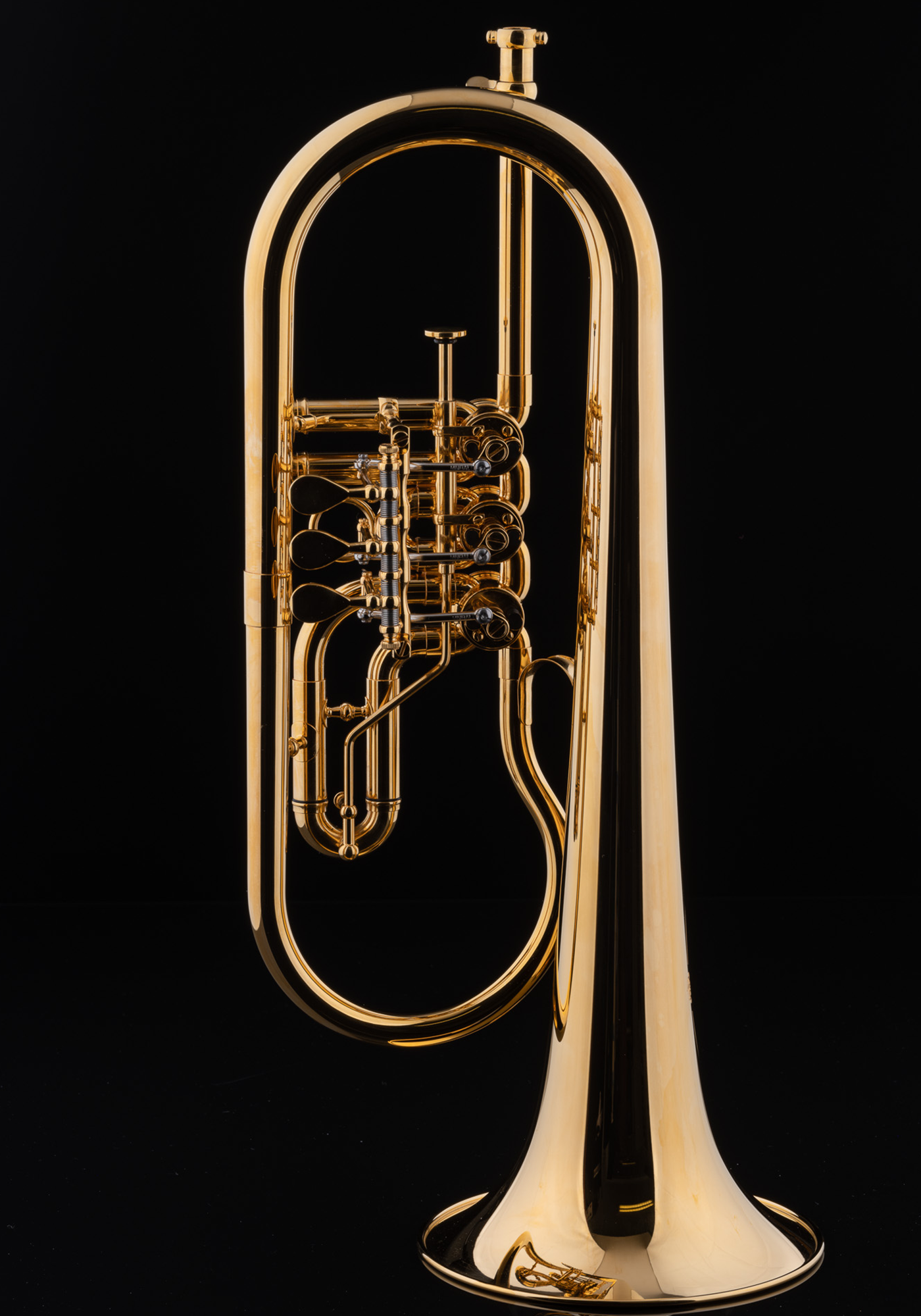 Ganschhorn(ガンシュホーン)Gold Gansch選定品 Ganschhorn(ガンシュホーン)Gold Gansch選定品