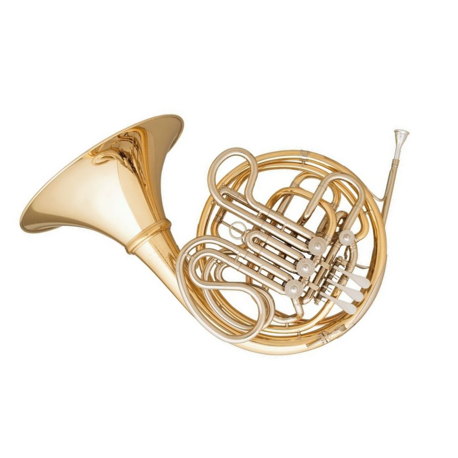 Hoyer F/Bb Horn 6801GA-L gold brass, unscrewable