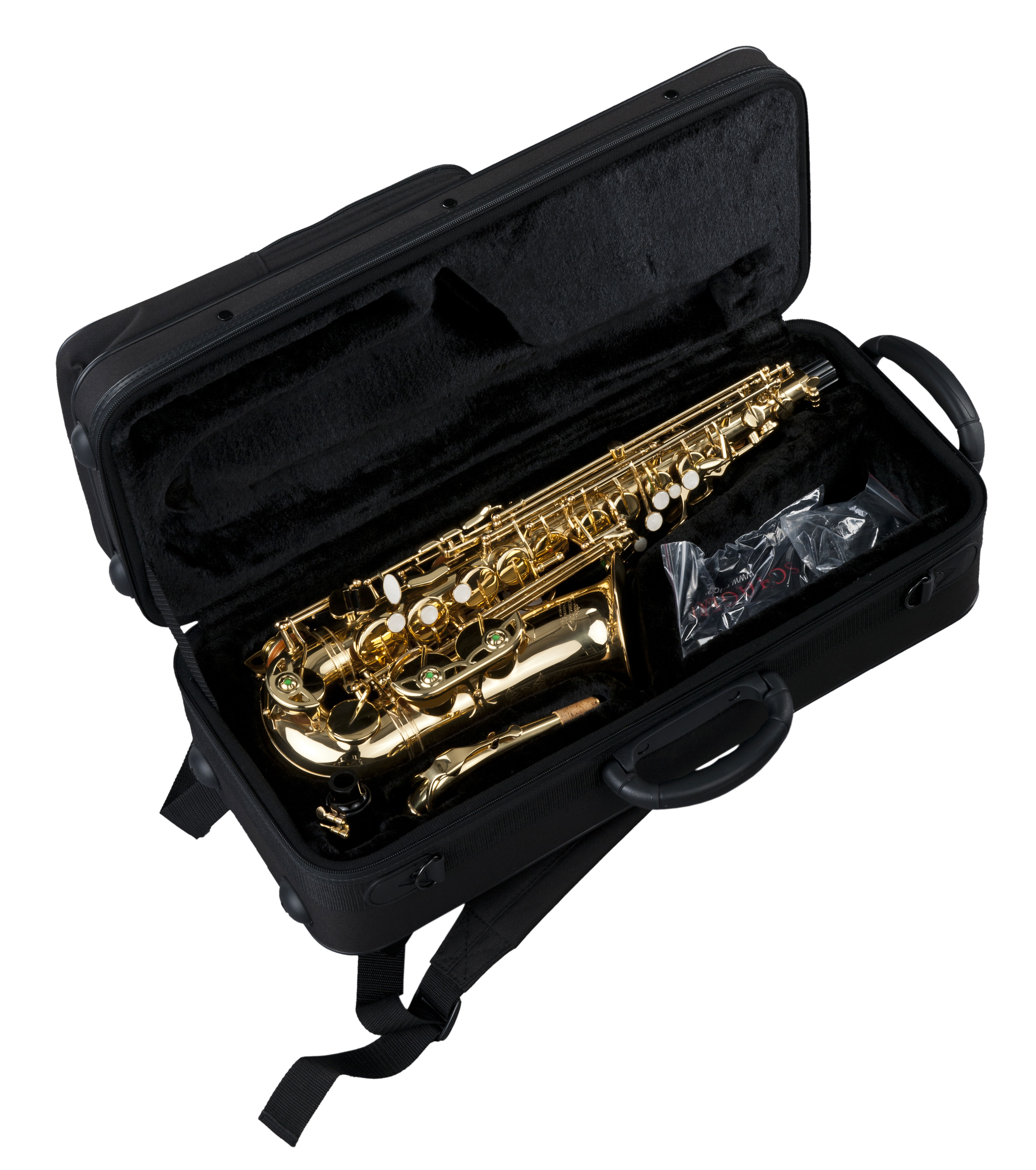 Schagerl Academica Alto Sax Trekkig Case