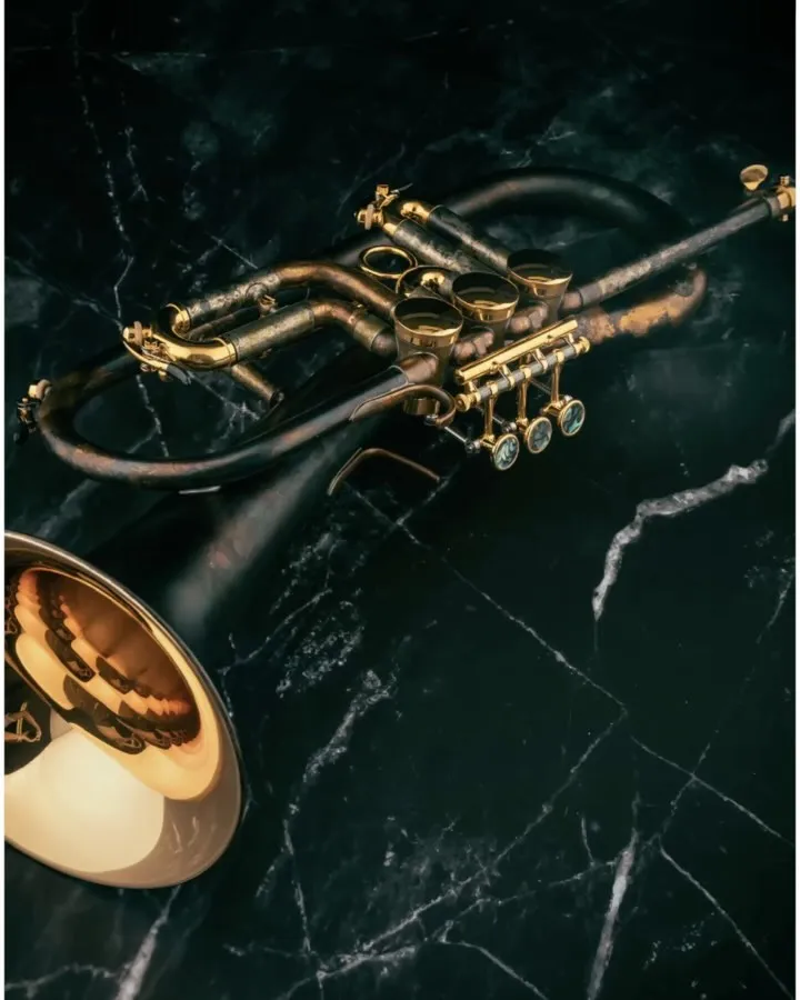 We love thinking outside the box—because standard is boring! Our artists are unique in so many ways, and that’s exactly why we push the limits of innovation.

Our collaboration with Thomas Gansch is a perfect example of this creative spirit. Together, we developed three extraordinary instruments:

🎺 Gansch Horn – A game-changer with its innovative design and versatility.
👑 Killer Queen – A powerhouse of sound, built for ultimate performance.
👑 Killer King – Designed specifically for brass band music, delivering the perfect balance of power and character.

Crafted for musicians who refuse to be ordinary. Are you ready to play beyond the standard?

#ganschhorn #thomasgansch #killerqueen #customtrumpet #trumpet #flugelhorn #schagerltrumpet