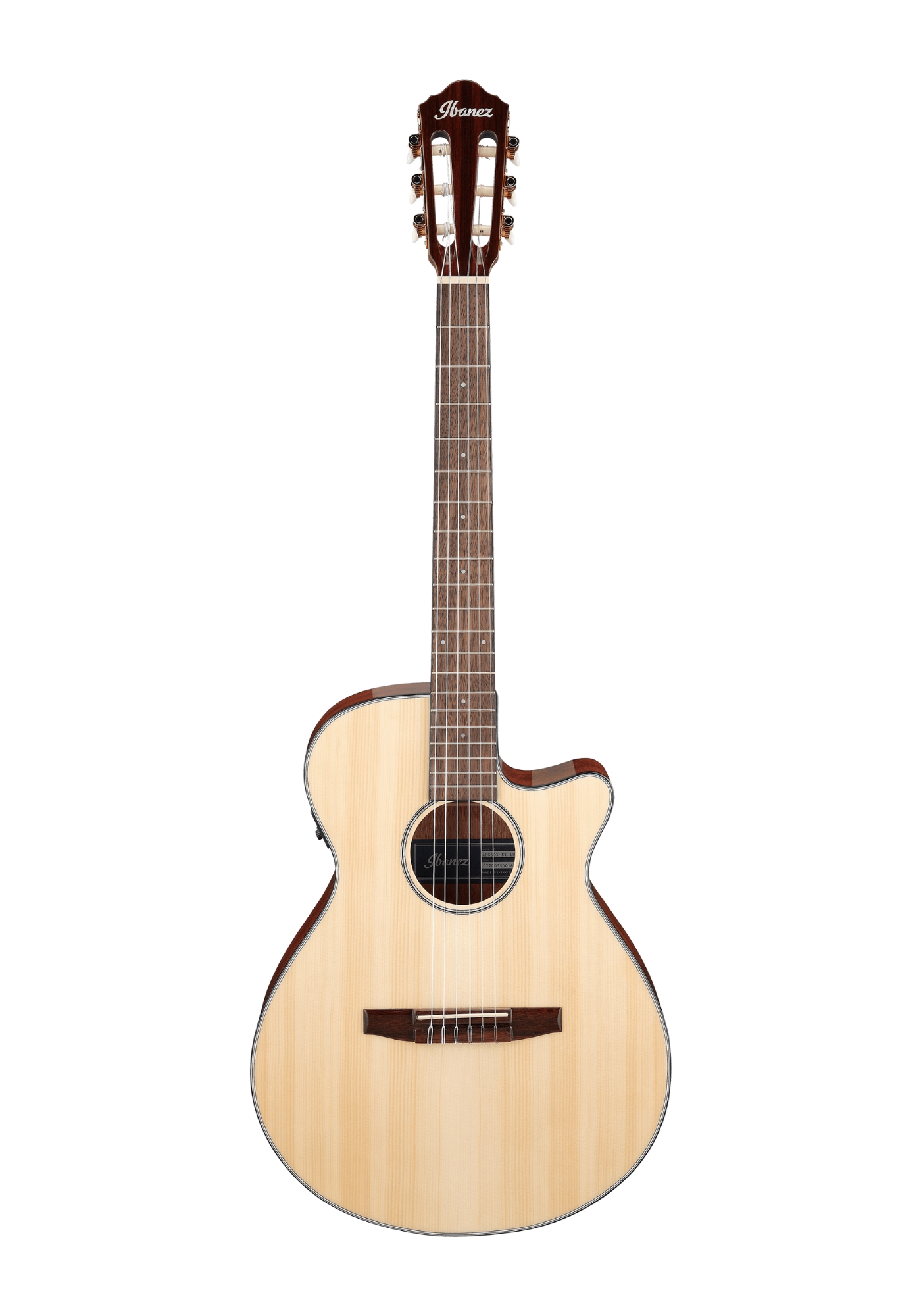 IBANEZ Westerngitarre AEG50N-NT natur