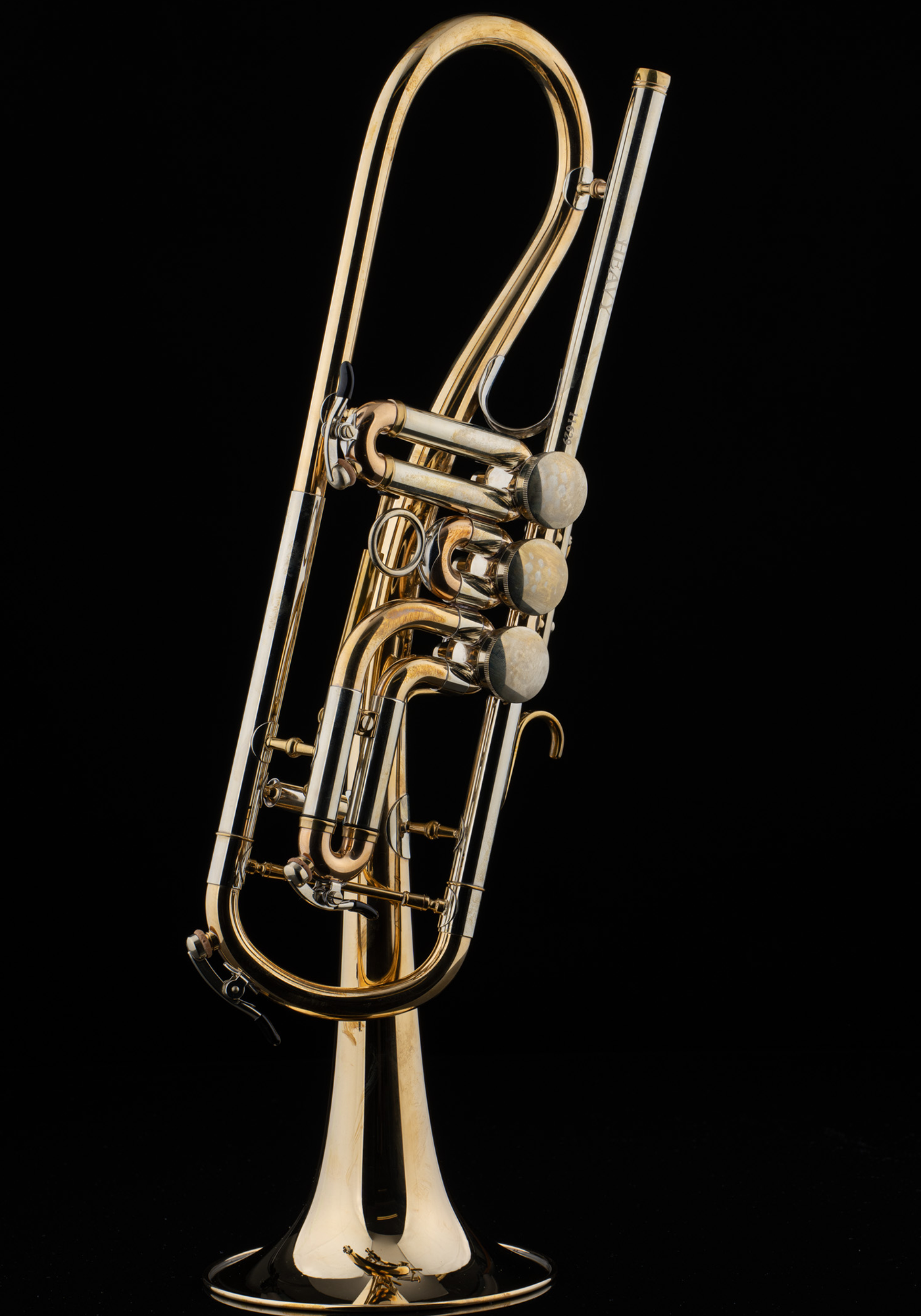 Ganschhorn(ガンシュホーン)Gold Gansch選定品 Ganschhorn(ガンシュホーン)Gold Gansch選定品