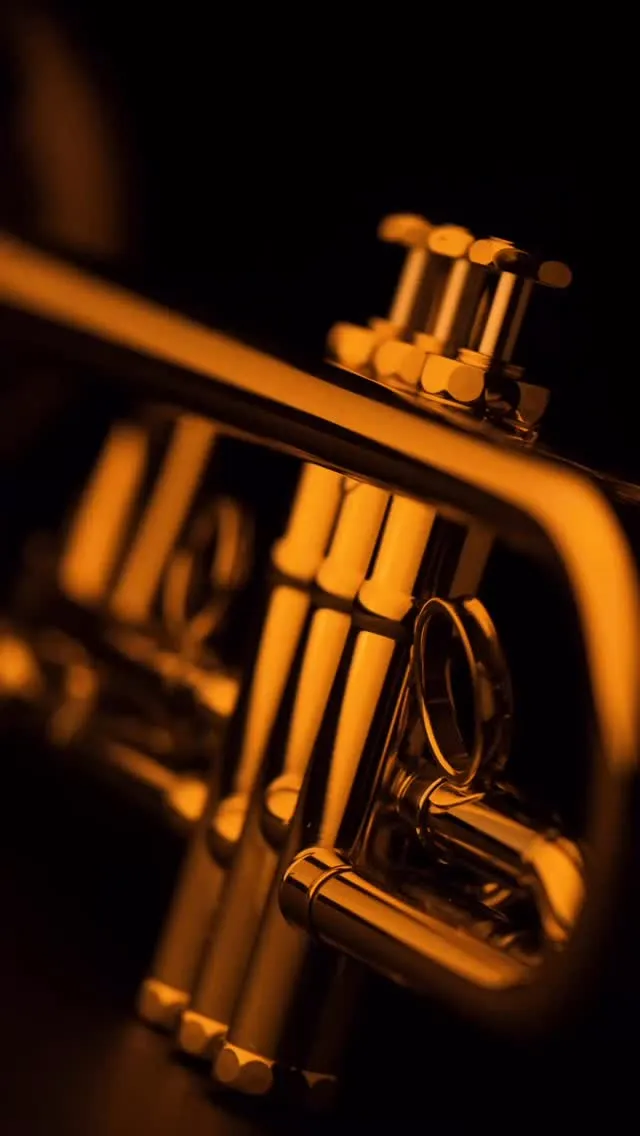 🎺 SCHAGERL APREDATO MOUTHPIECES – PART 3
James Morrison shows the making of the Schagerl Apredato — step by step.
The original mouthpiece is carefully turned down, a precise thread is cut, and the Apredato bell is screwed on and filled with water.

This unique design adds mass and stability — giving players unmatched balance and response.

📺 Watch the full video now on our YouTube channel!

#schagerl #schagerltrumpet #schagerlartist #inqualitywetrust #apredato #trumpet #mouthpiece #jamesmorrison #brassinnovation #schagerlmeisterinstrumente