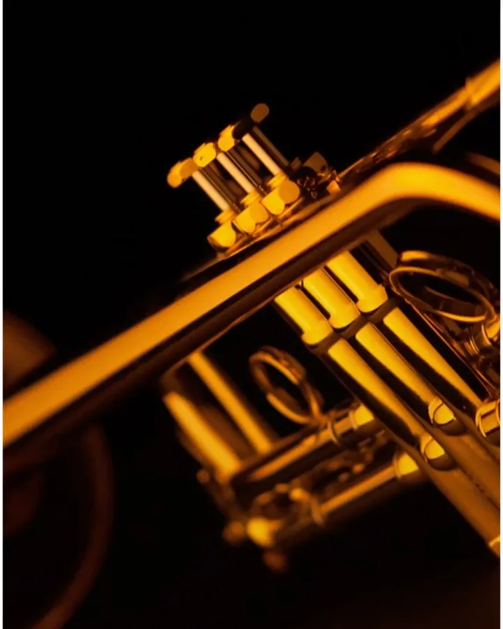 From rotary and piston trumpets to flugelhorns and trombones - our instruments shine worldwide, from Boston to Berlin and Mank to Melbourne. 

Played across orchestras, jazz stages, brass bands, traditional wind music, and even by star DJs 😎, they resonate in every genre around the globe. 

And to think it all started as a small family business—this fills us with immense pride. 

Let us know in the comments below where and how you use your Schagerl instrument! 🙂👇🎺

#schagerlclub #SchagerlMusic #schagerltrumpet