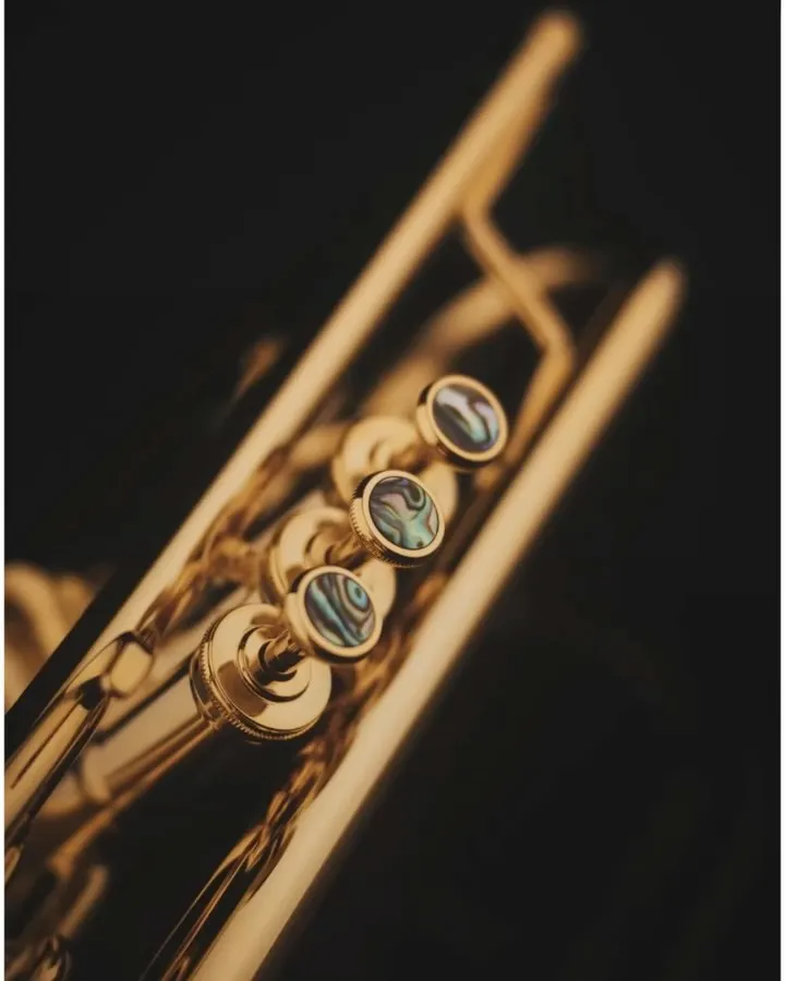 No matter if you’re a student, brass band musician, or a soloist in a philharmonic orchestra – we have the perfect instrument for you! 🎺🎶

#BrassInstruments #MusicForEveryone #Orchestra #BrassBand #MusicianLife #SchagerlArtist