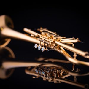 Horn trompete - Die TOP Favoriten unter der Menge an verglichenenHorn trompete
